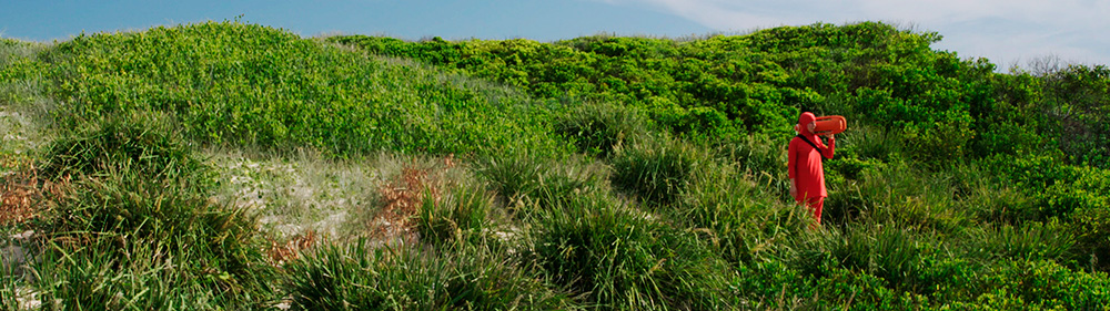 video still